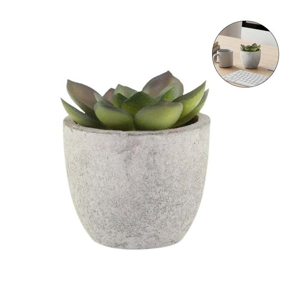 Personalized Artificial Succulent Plant in Pulp Pot - Image 4