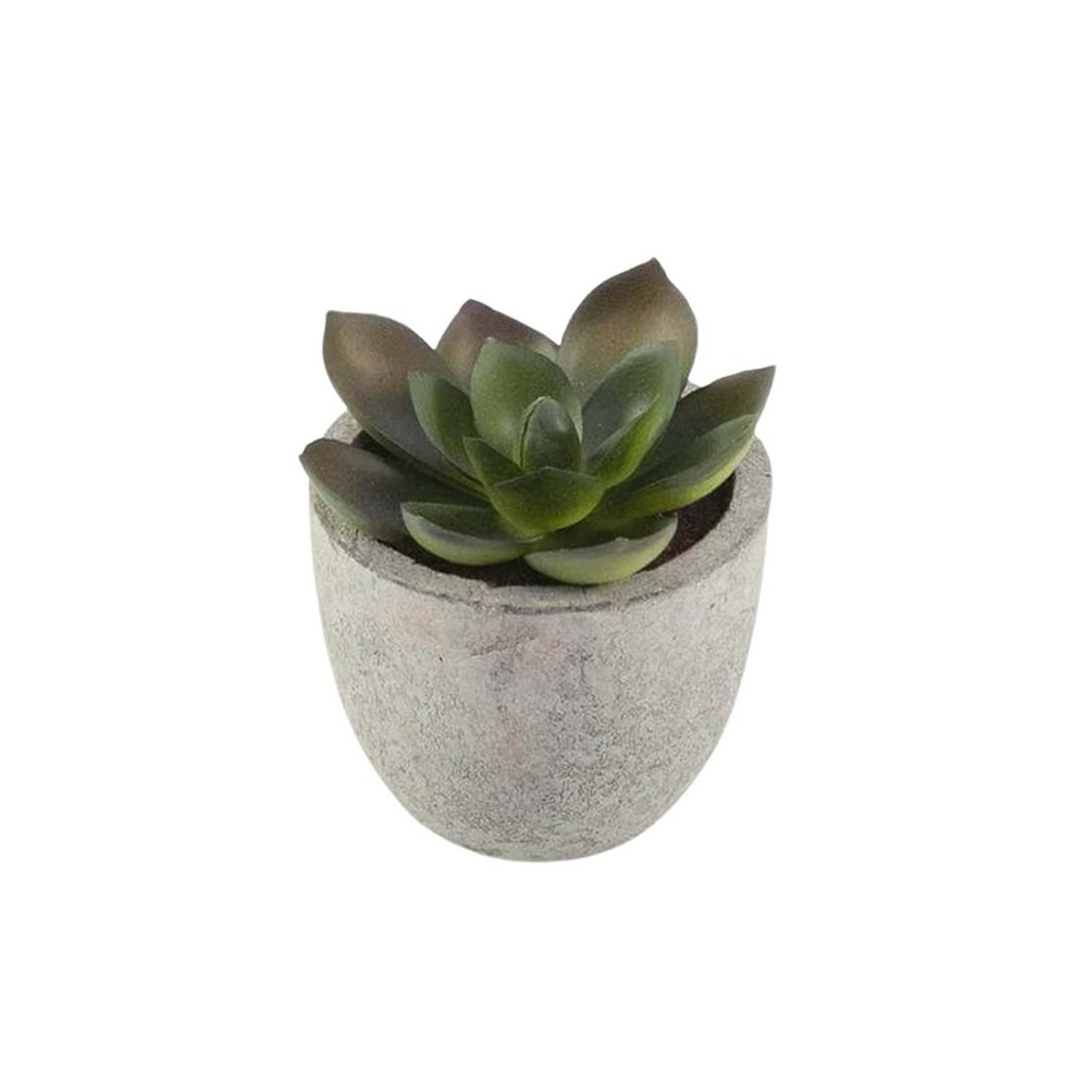 Personalized Artificial Succulent Plant in Pulp Pot - Image 2
