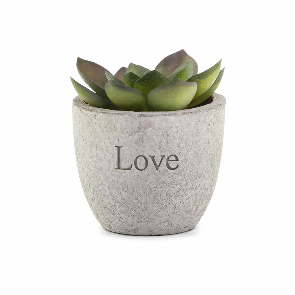 Personalized Artificial Succulent Plant in Pulp Pot - Image 3