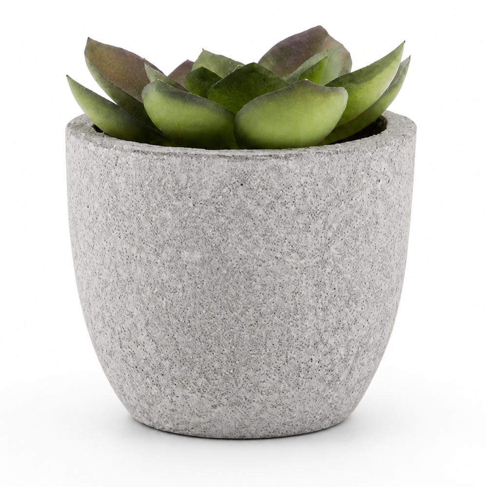 Personalized Artificial Succulent Plant in Pulp Pot